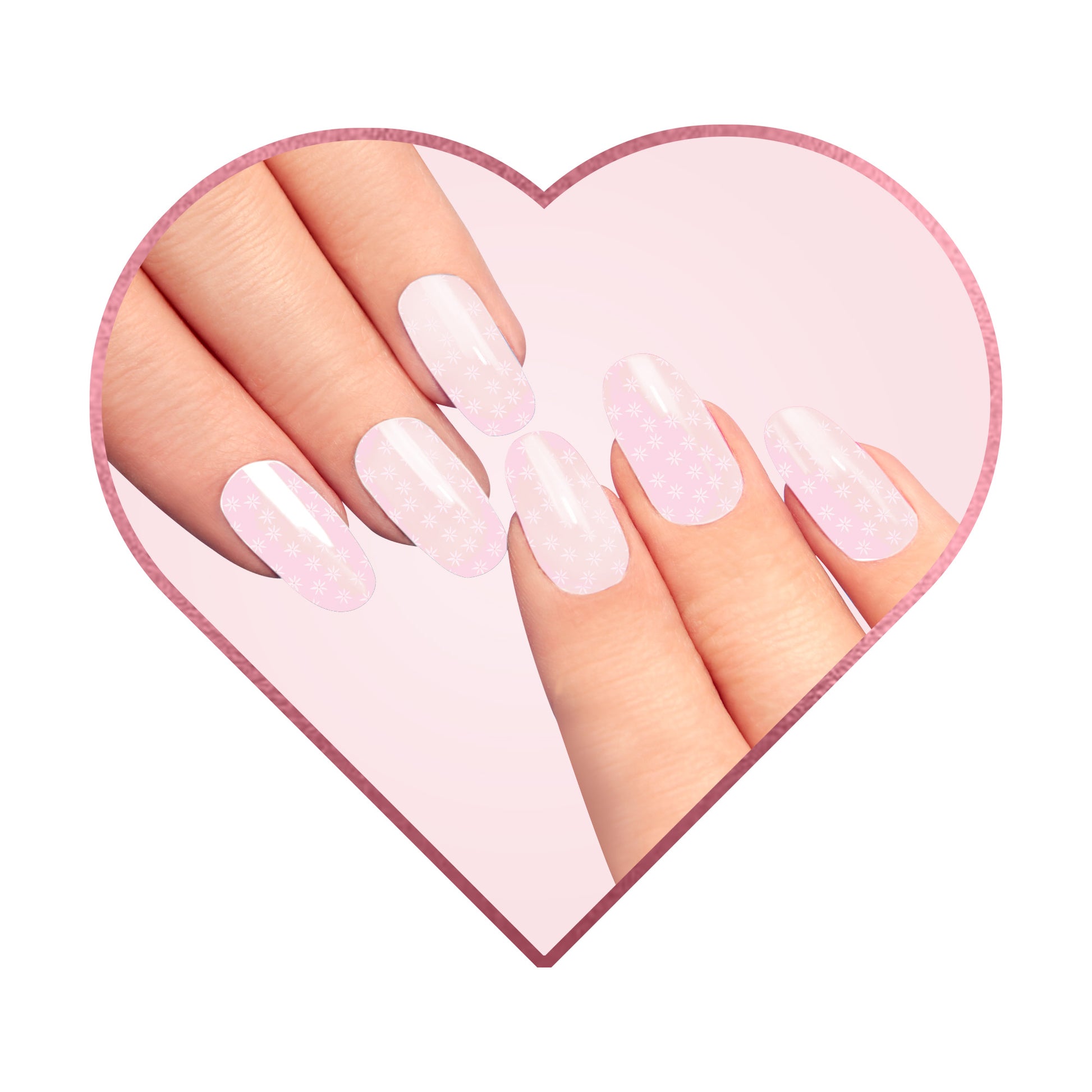 Bee Floral-Pink White Flowers